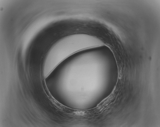 X0000083600052200702090917