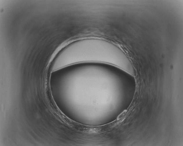 X0000083600056200702090917