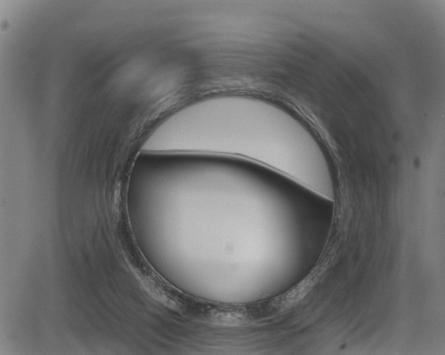 X0000083600066200702090917