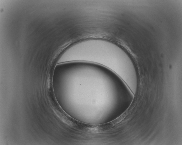 X0000083600068200702090917