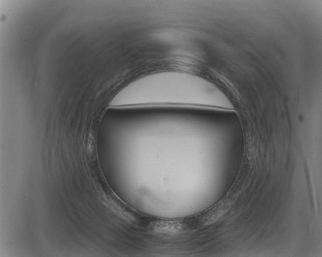 X0000083600077200702090917