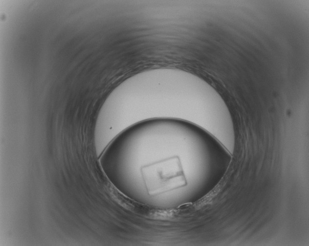 X0000083600084200702090917