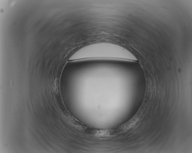 X0000083600088200702090917
