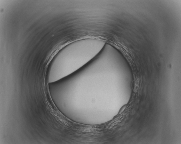 X0000083600098200702090916