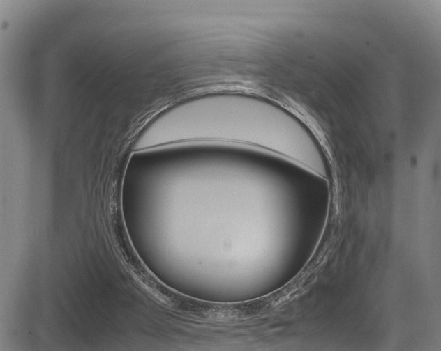X0000083600105200702090916