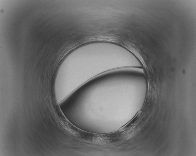 X0000083600109200702090916