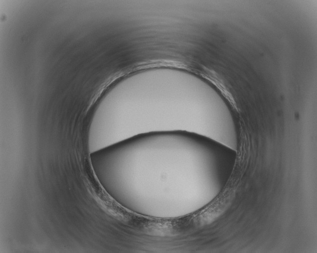X0000083600110200702090916