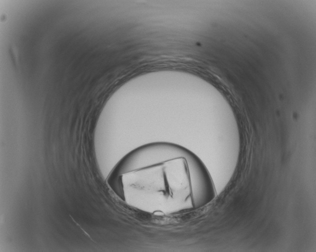 X0000083600125200702090916