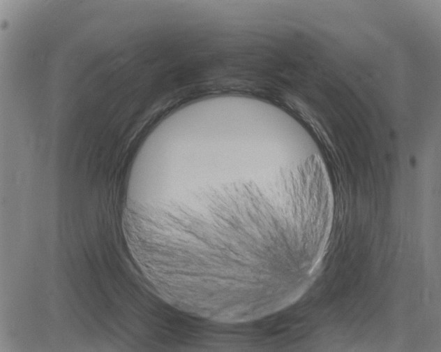 X0000083600167200702090915