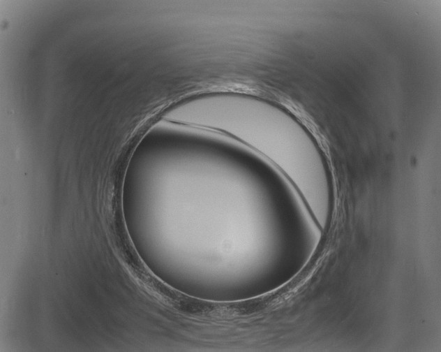 X0000083600201200702090915