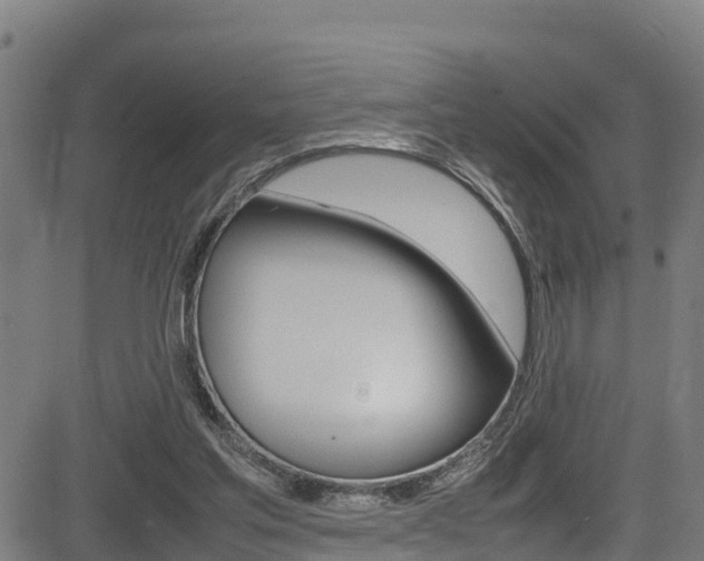 X0000083600205200702090915