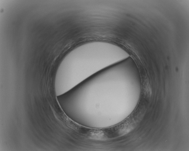 X0000083600214200702090915