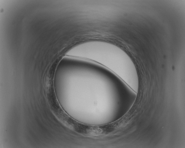 X0000083600215200702090915