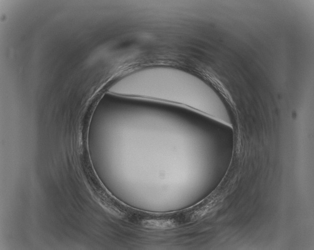 X0000083600251200702090914