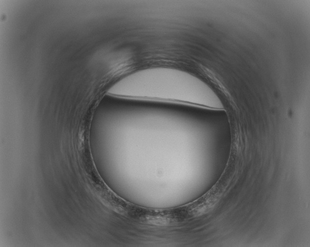X0000083600259200702090914
