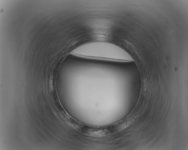 X0000083600267200702090914