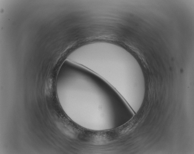 X0000083600308200702090913