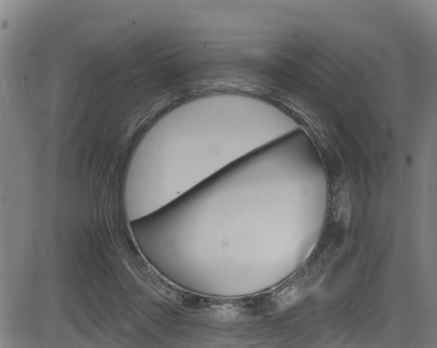 X0000083600310200702090913