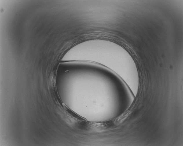 X0000083600333200702090913