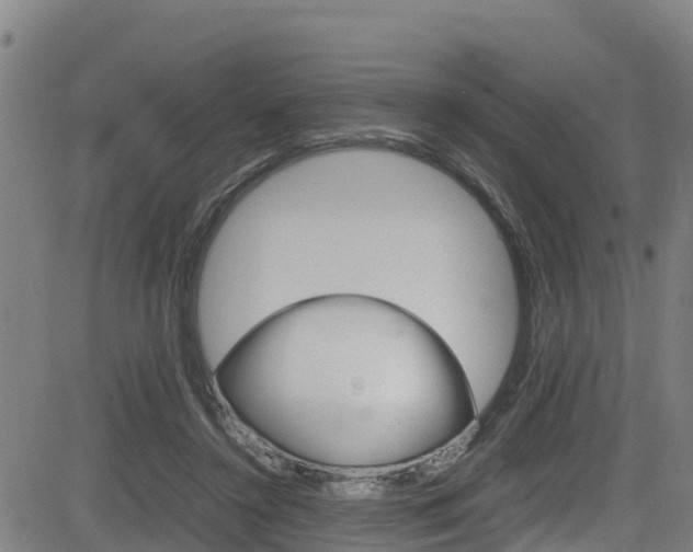 X0000083600356200702090912