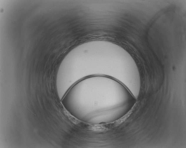 X0000083600372200702090912