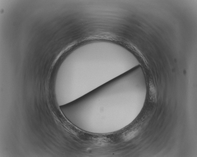 X0000083600396200702090912