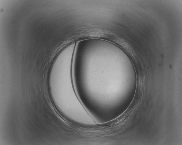 X0000083600397200702090911