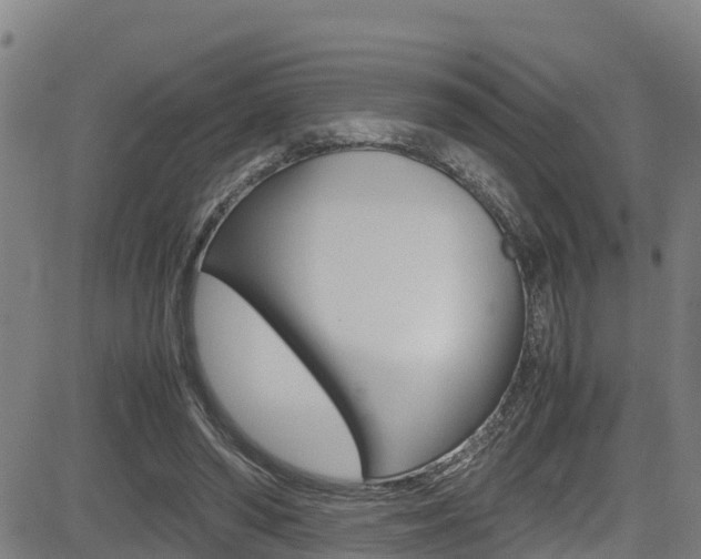X0000083600398200702090911