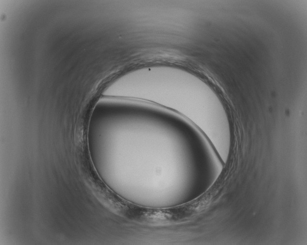 X0000083600407200702090911