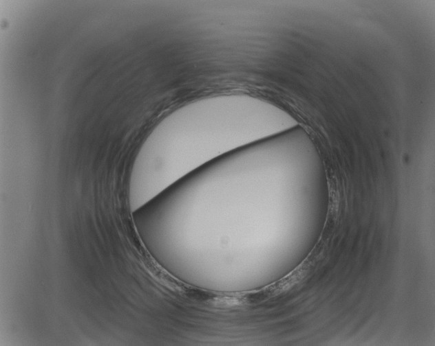 X0000083600418200702090911