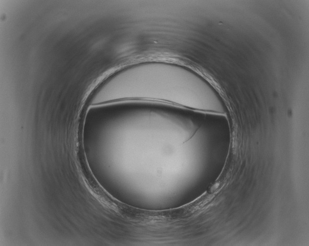 X0000083600438200702090910