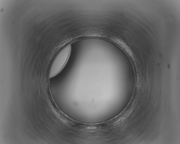 X0000083600441200702090910