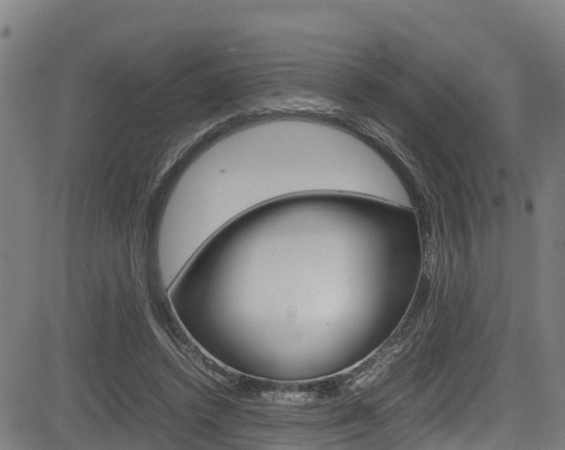 X0000083600448200702090910