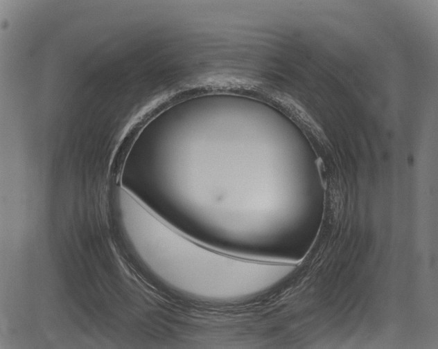 X0000083600488200702090910
