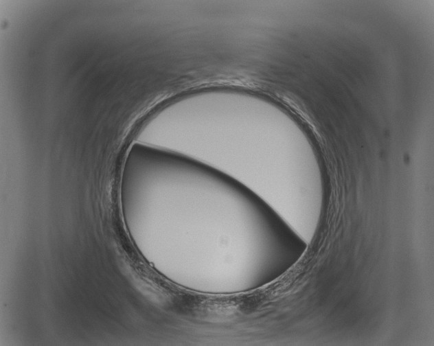 X0000083600491200702090910