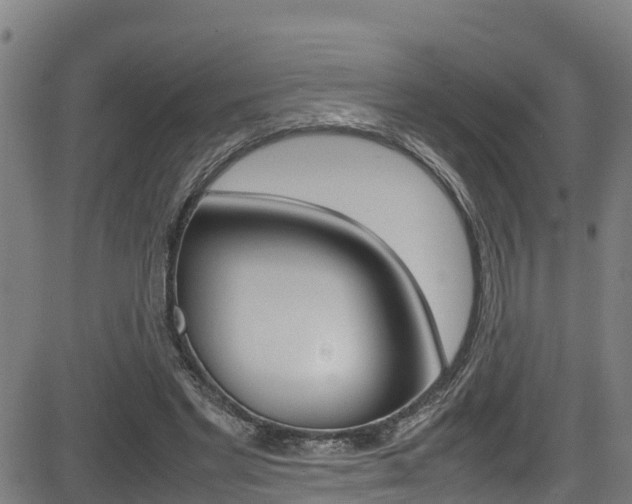 X0000083600493200702090910