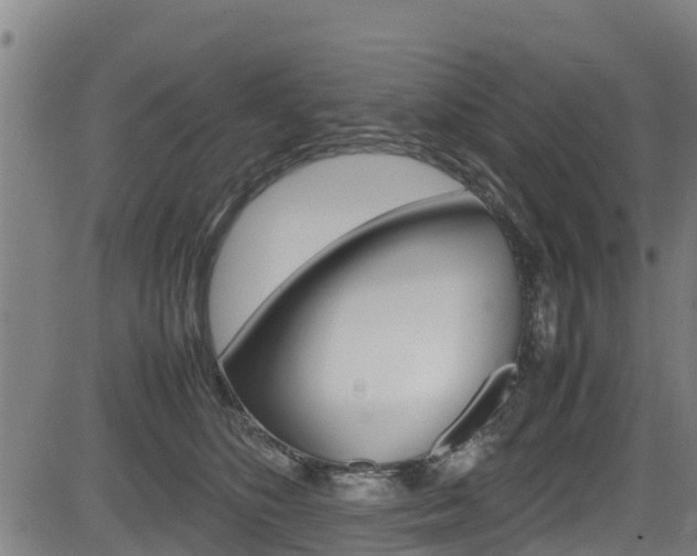 X0000083600516200702090910