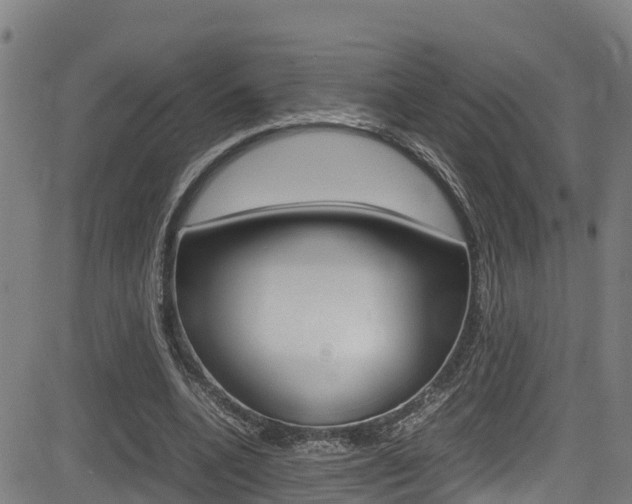 X0000083600536200702090909