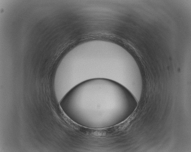 X0000083600546200702090909