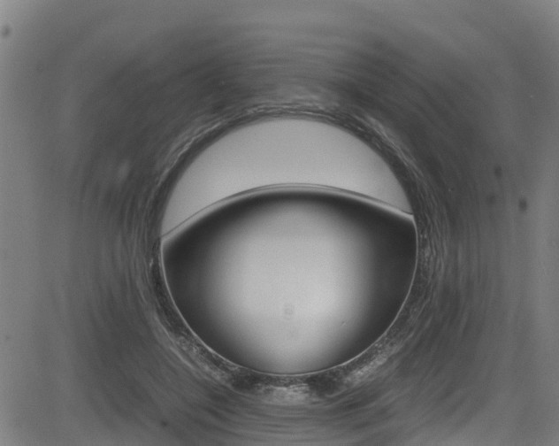 X0000083600548200702090909