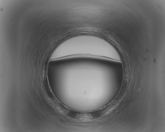 X0000083600597200702090908