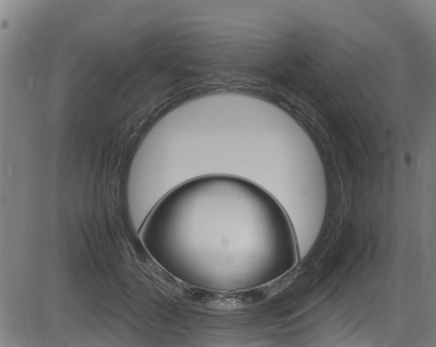 X0000083600604200702090908