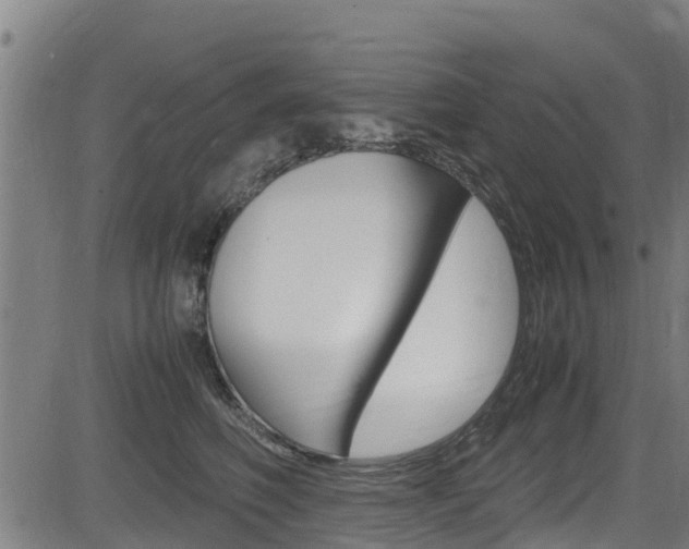 X0000083600614200702090908