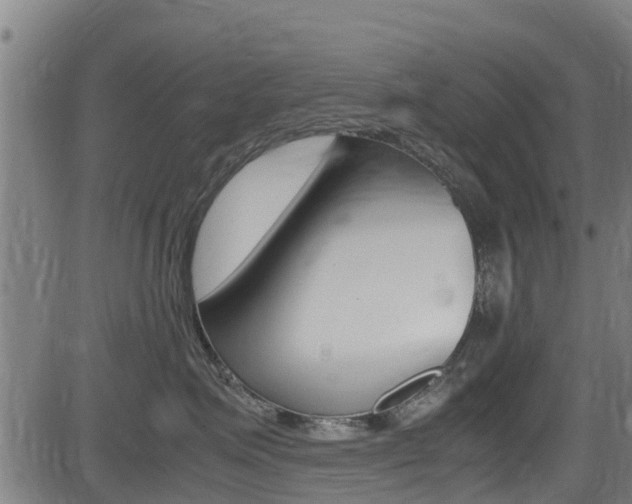 X0000083600623200702090908