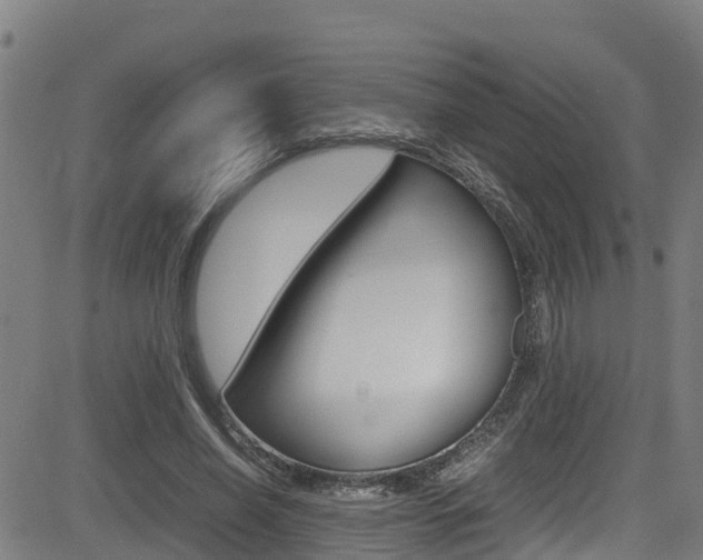 X0000083600638200702090907