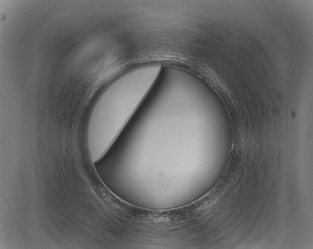 X0000083600640200702090907
