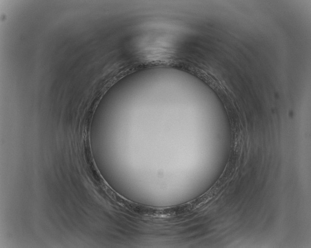 X0000083600647200702090907