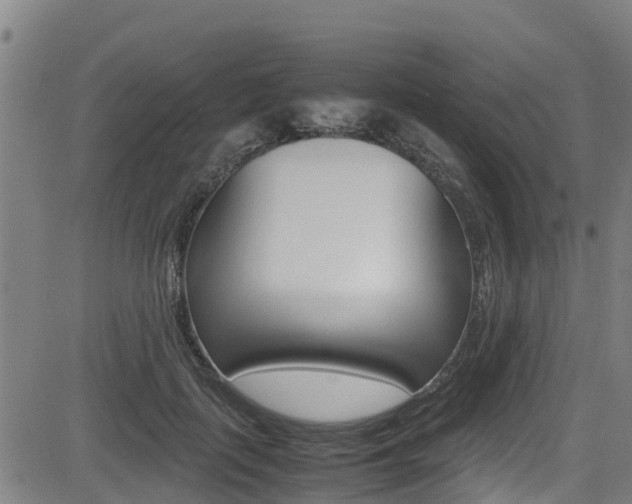X0000083600651200702090907