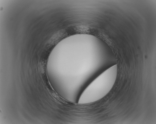 X0000083600658200702090908