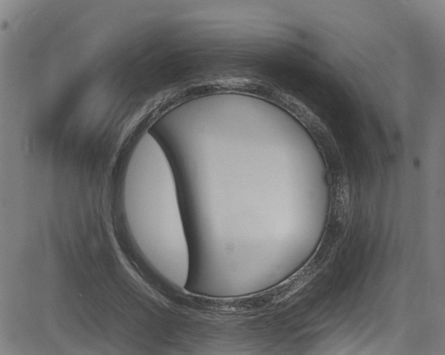 X0000083600734200702090906